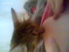 Her cat loves sucking her nipples